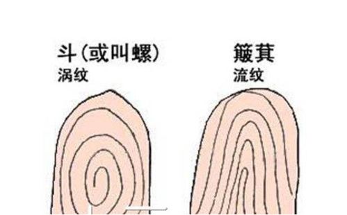 手脚没有斗的人命运不好吗