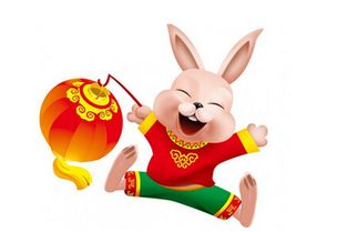 属兔人命运详解