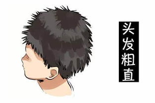 头发少的人命运性格