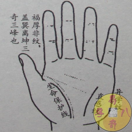 震卦的人命运