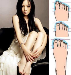 脚趾短的女人命运