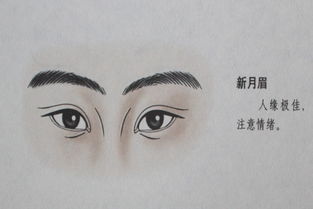 倒八字眉的男人命运