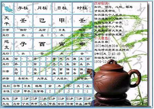 1988十二月十三申时人命运