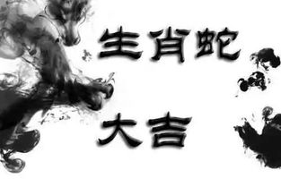 1977年沙中土命的人命运如何