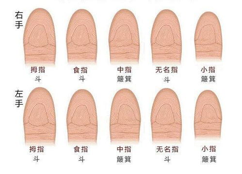 8个斗的人命运