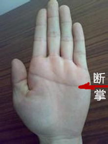 两手断掌纹的男人命运