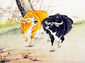 属牛8月8出生的人命运