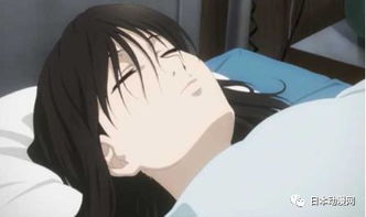 四两人命运