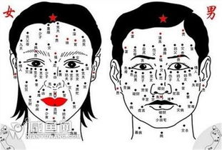 右小腿内侧有痣的女人命运