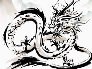 2000属龙人命运如何