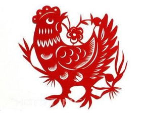 属鸡下午一点出生的人命运怎么样