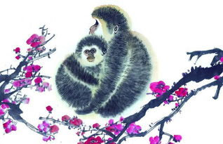 属阴的人命运