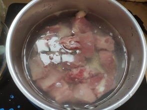 霸王龙食谱