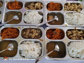 幼儿园伙食食谱