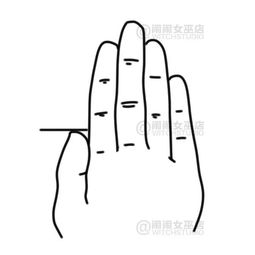 相学大拇指大的人命运