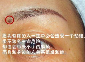 眉毛长的人命运怎样