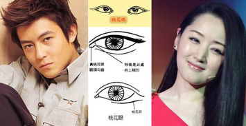桃花眼人命运