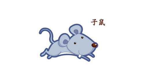 鼠年生人命运