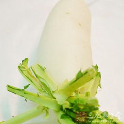 秋季养肝食谱