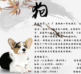 未时出生属狗的人命运