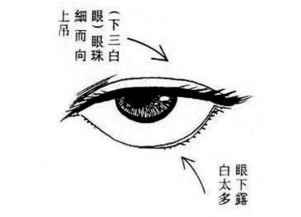 蛇眼的男人命运好吗
