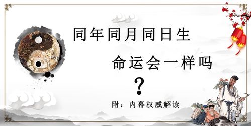 同生人命运
