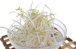 一周减肥食谱表