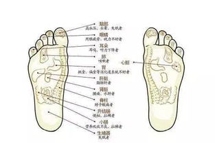 脚底板厚的女人命运