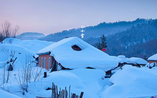 小雪出生的人命运