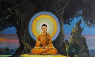 七杀旺的人命运