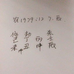 1955腊月初七生人命运