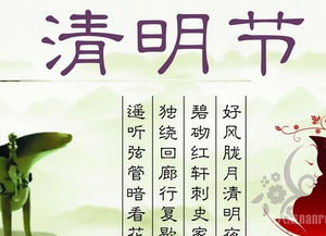 清明节出生的人命运