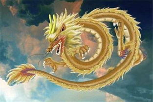 龙人命运6