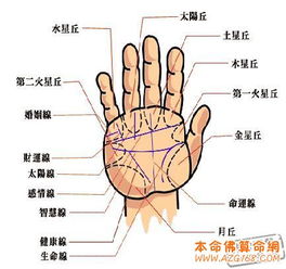 断掌纹的人命运如何