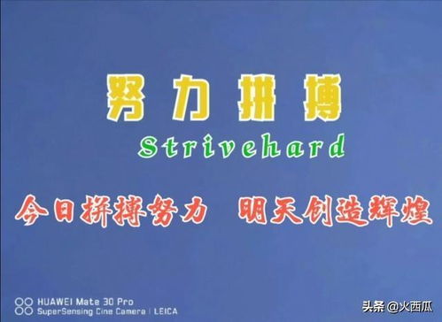 七三任命七三人命运