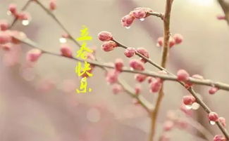 立春出生的人命运