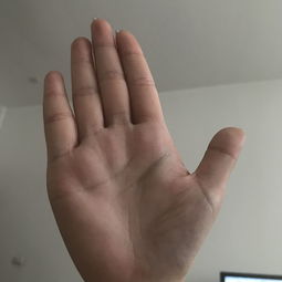 手掌心白的女人命运
