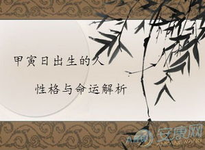 甲寅人命运