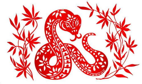 六月蛇人命运详解