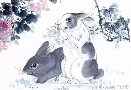 属兔19872月未时出生的人命运