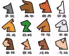 子时出生的人命运解析