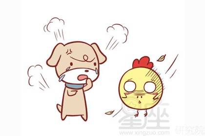 属狗男人命运性格