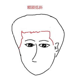 额头矮的人命运如何