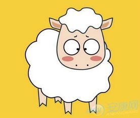 命运有波折的人命不好