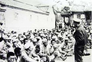 金门之战被俘军人命运