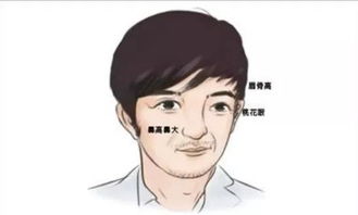 眉毛稀疏上扬男人命运