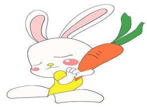 戌时生人命运如何