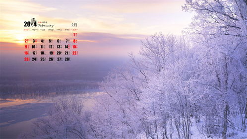 2月18号出生的人命运