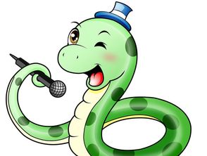 双属相的人命运