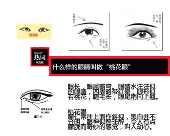桃花眼的人命运如何
